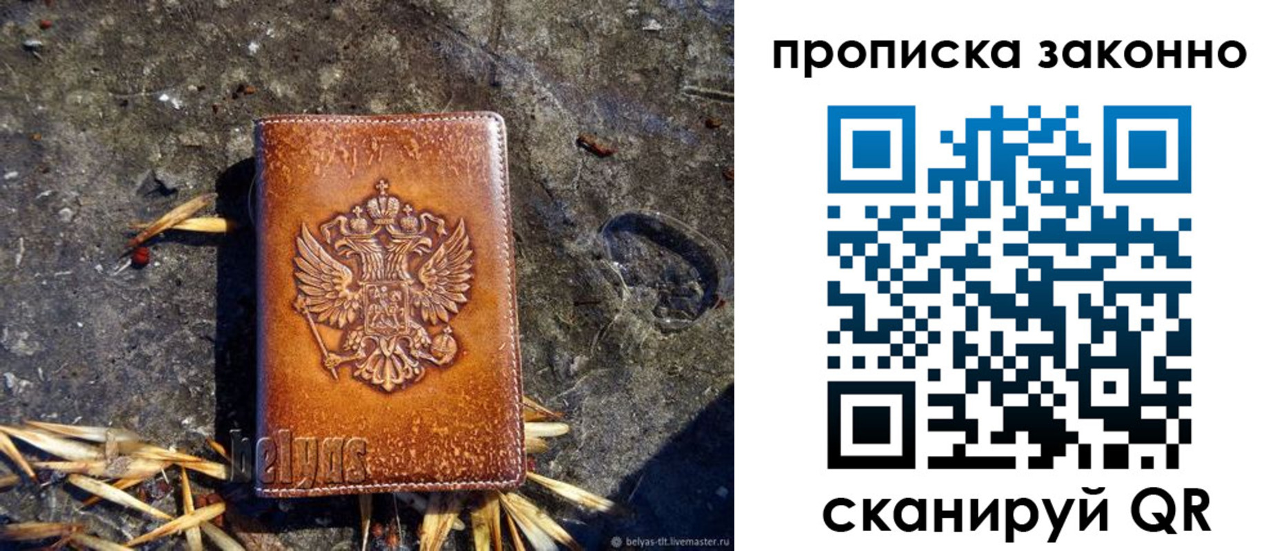 прописка паспорт в Ельне